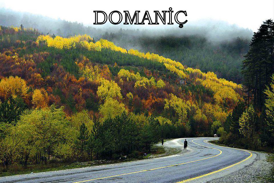 Domaniç Dağları
