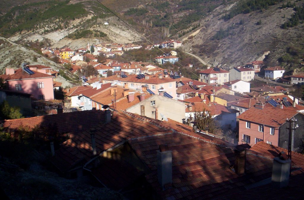 Şaphane
