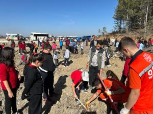 Cumhuriyetin 100. Yılında Tavşanlı'da Fidan Dikimi 
